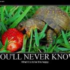 Never Know