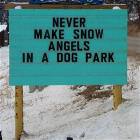 Never Make Snow Angels In A Dog Park