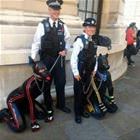 New Police Dogs