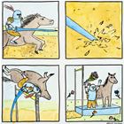 New Sport