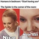 Nice