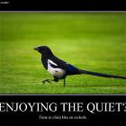Nice And Quiet