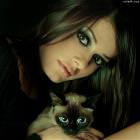 Nice Cat