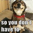 Nice Dog