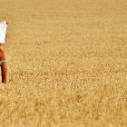 Nice Farm