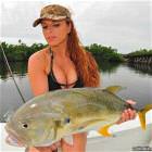 Nice Fish