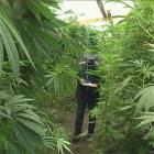 Nice Garden
