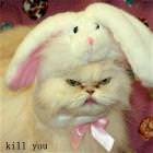 Nice Kitty