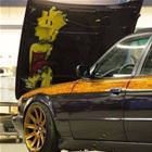 Nice Paint