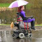 Nice Ride