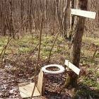 Nice Shitter