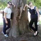 Nice Tree