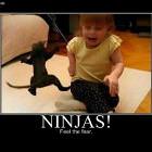 Ninjas