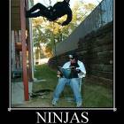 Ninjas And Pirates