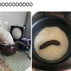 No