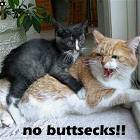 No Buttsecks