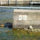 No Drowning