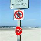 No Fatties Please