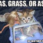 No Free Rides