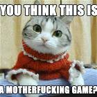 No Game