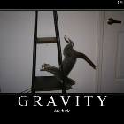 No Gravity