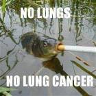 No Lungs