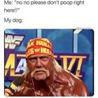 No No No
