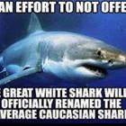 No Offense
