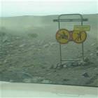 No Shooting No Biking