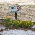 No Swimming