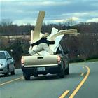 No Tie Downs