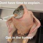 No Time To Explain