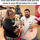 No Walks For You