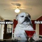 No Water For This Guy