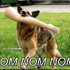 Nom Fetch