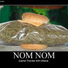 Nom Nom