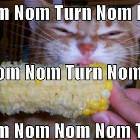Nom Nom