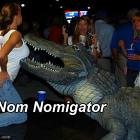 Nomigator
