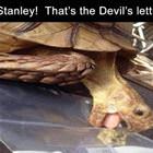 Nooo Stanley