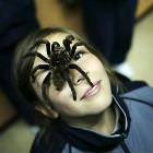 Nope Picdump 4