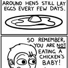 Not A Chicken Fetus