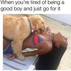 Not A Good Boy Anymore