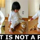 Not A Pony