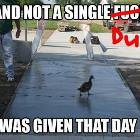 Not A Single Duck