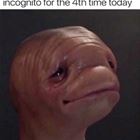 Not Again