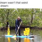 Not All That Weird