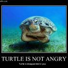 Not Angry