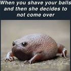 Not Coming