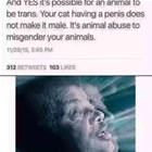 Not Even Possible