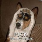 Not Friday